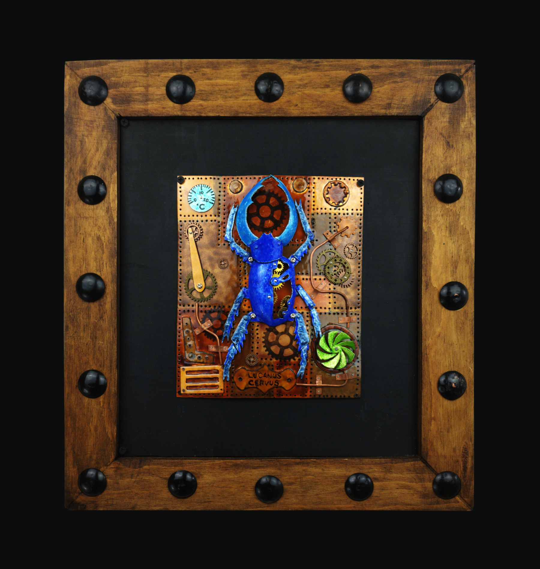 Lucanus Servus Steampunk