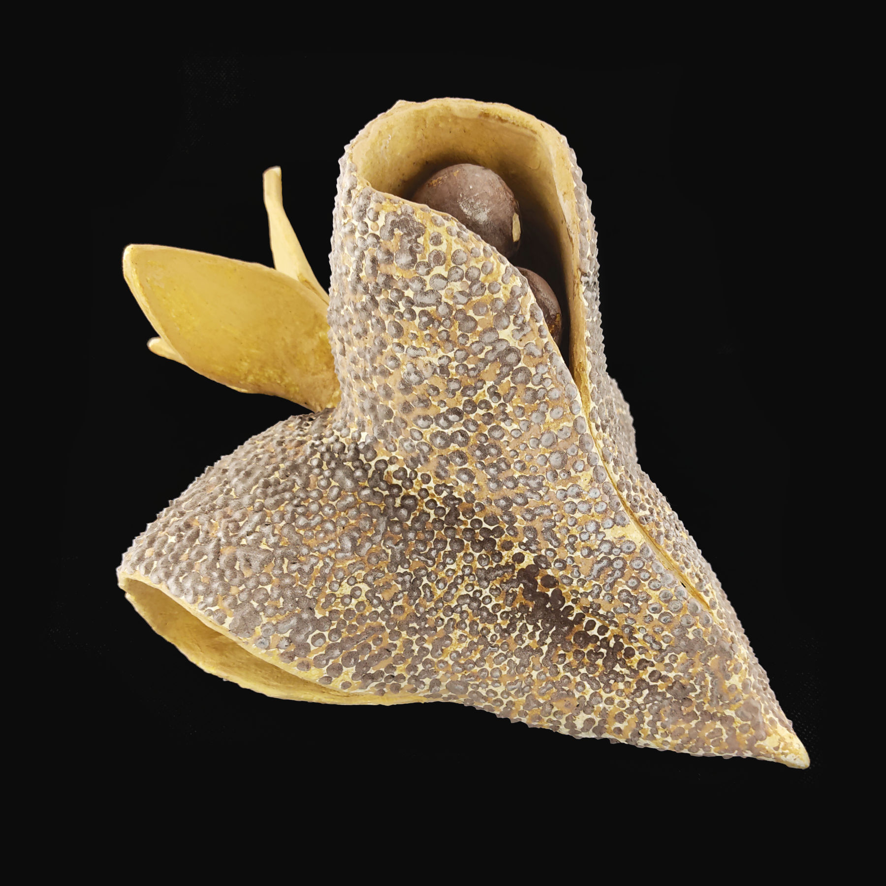 Semilla