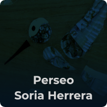 Perseo Soria Herrera